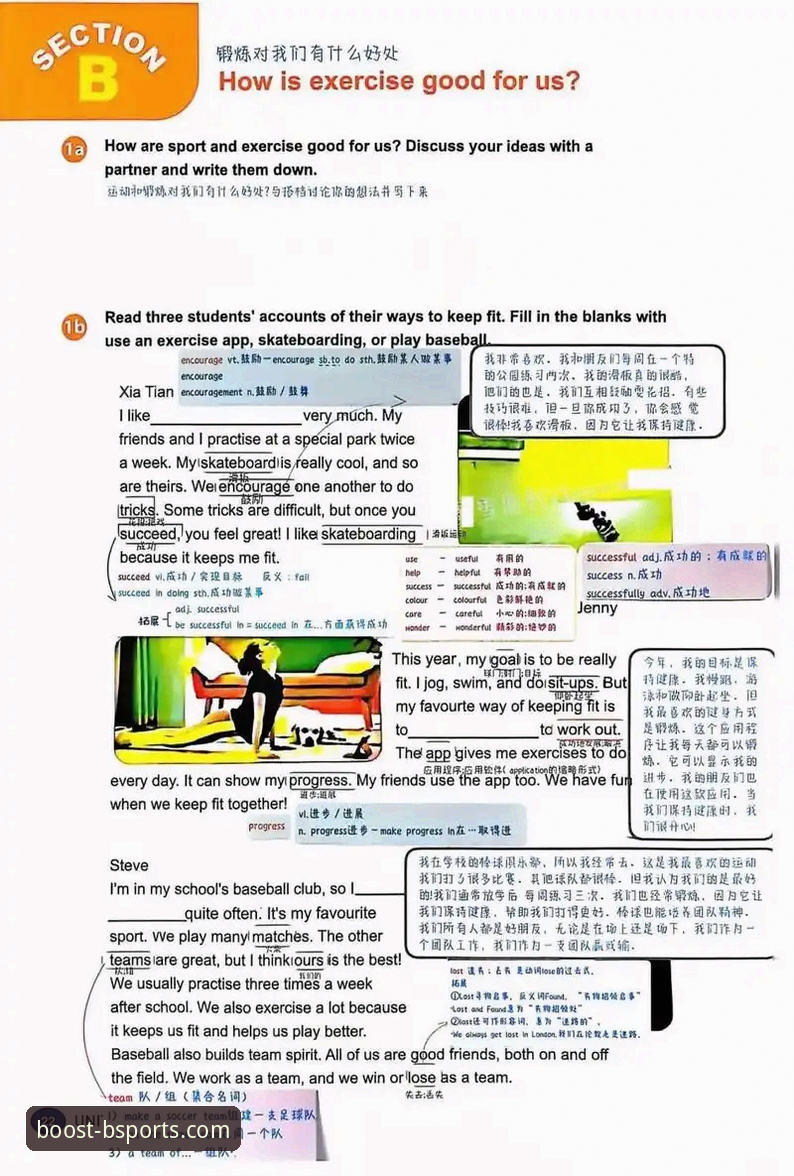 b体育网页版登录对比 b体育网页版登录对比全面解析:官网、手机版与最新版本深度剖析